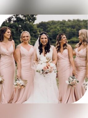 Bari Jay Blush Pink Chiffon Spaghetti Strap Maxi Gown
